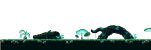 Heart of the Forest