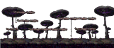 Fungos Forest 6