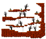 Phantom Forest
