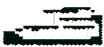 Phantom Forest