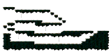 Phantom Forest