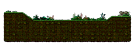 Krakian Jungle