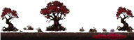 Forest Edge