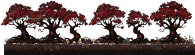 Haunted Hill