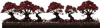 Haunted Hill