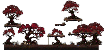 Bent Tree