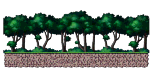 Monkey Habitat