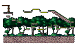 Island Center