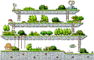 Purple Plains 1