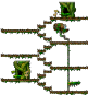 Ellinia Forest