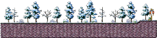 冰峰雪域附近森林