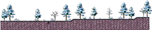 冰峰雪域附近森林
