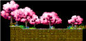 Entrance to The Spiritwilds