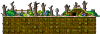 Raccoon Hilltop