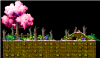 Raccoon Hilltop