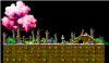 Raccoon Hilltop