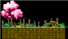 Raccoon Hilltop