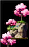 The Legendary Cherry Tree