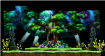 Forest of Oblivion