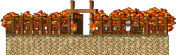 Training Grounds