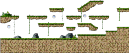 Suspicious Forest Entrance