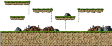 Stage 5