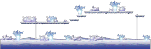 Field of Glittering White