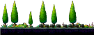 The Afterlands