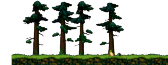 Forest Depths Data Fragment