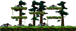 Forest Near the Hideout