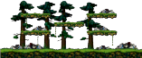 Forest Near the Hideout