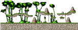 Stage 5