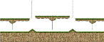 Stage 4