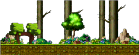 Forest Outside of Town