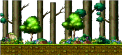 Cleared Land Near Forest