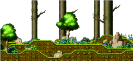 Cleared Land Near Forest