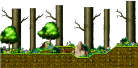 Deep Inside the Town Forest