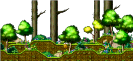 Deep Inside the Town Forest