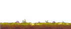 Forest Edge 1