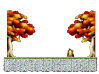 Maple Tree Forest