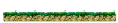 Forest Edge