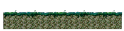Cursed Ellinia Forest