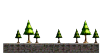 Secluded Forest