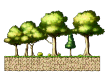 In the Deep Forest