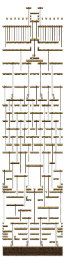 Rope Vault
