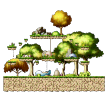 Tiru Forest