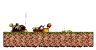Burning Forest 1