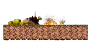Dead End Forest