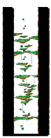 South Forest Tree Dungeon