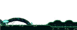 Deep Within the Forest